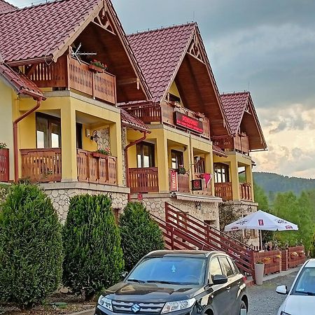 Pensjonat Zielone Wzgorze W Boleslawowie Stronie Slaskie Exterior photo